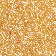 Island Batik (122379247) Dots Orange Daffodil