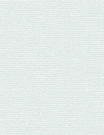 Dear Stella (1150-ARCTIC) Arctic