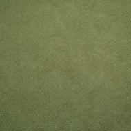 Shannon (DR138977) Cactus