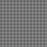 Contempo (6607Y-08) Gingham Gray