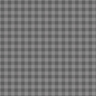 Contempo (6607Y-08) Gingham Gray