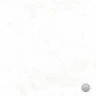 Northcott Cotton (9020-10) Arctic Wonders - White