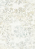 Anthology (15331) White/Grey