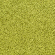 RJR (3221-005) Avocado