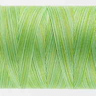 Wonderfil (TU29) Grass