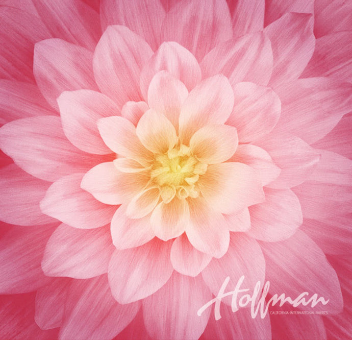 Hoffman (P4983-94) Wild Rose