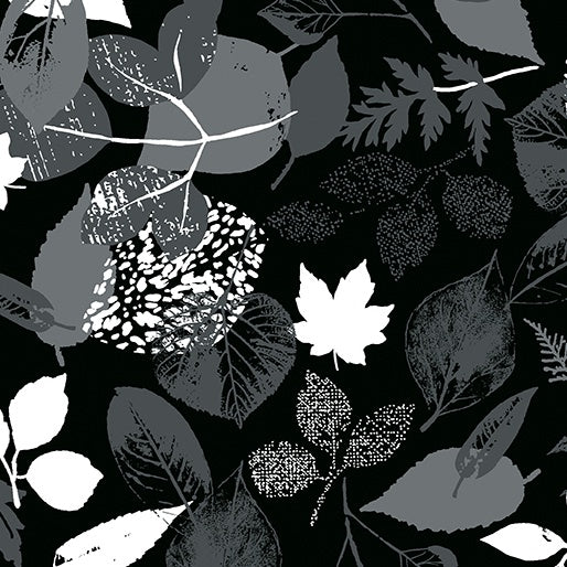 Kanvas (1294014B) Falling Leaves Black/White