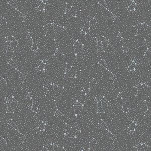 Cotton + Steel (CC406-OV2) Galaxy Overcast