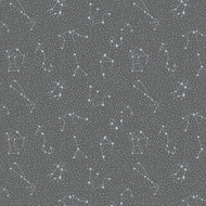 Cotton + Steel (CC406-OV2) Galaxy Overcast