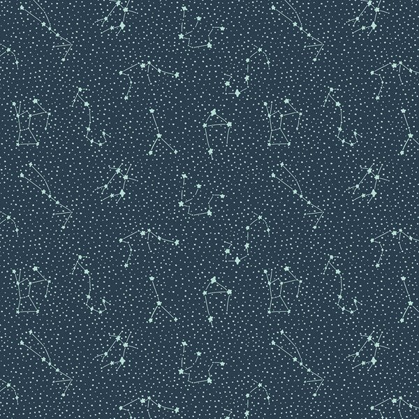 Cotton + Steel (CC406-DS1) Cosmic Sea Dark Sky